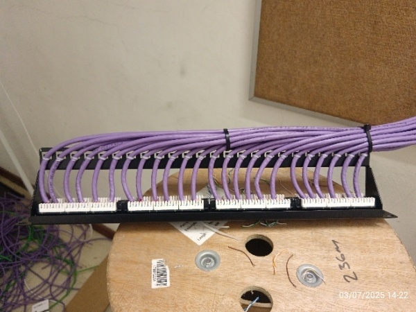 Purple data cables terminated along a patch panel, with bundled runs secured by cable ties.