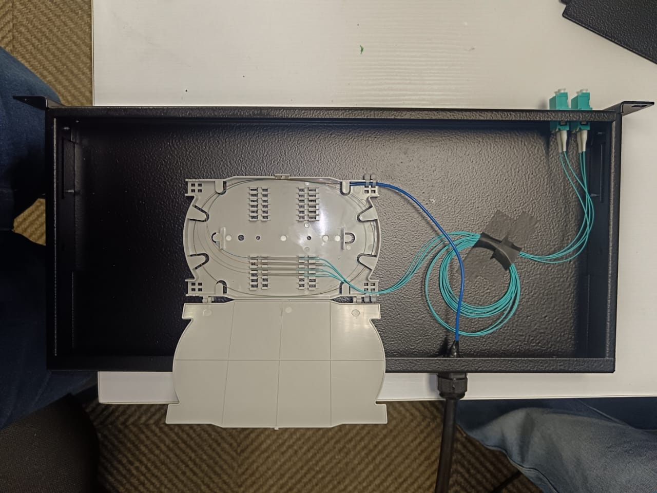 Fibre strands routed through a splice tray, with coiled slack and optical connectors at the enclosure edge.